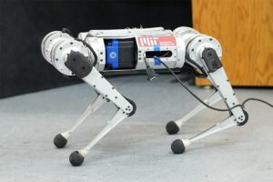 animal robot