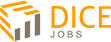 Dice Jobs - First Tech Jobs Portal of Pakistan